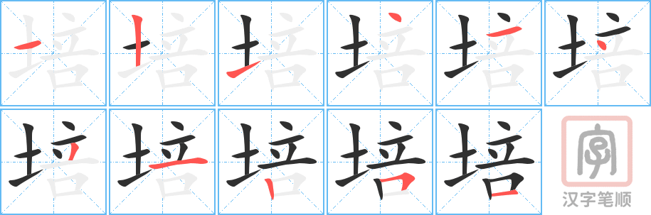 培的笔顺分步演示（一笔一画写字）