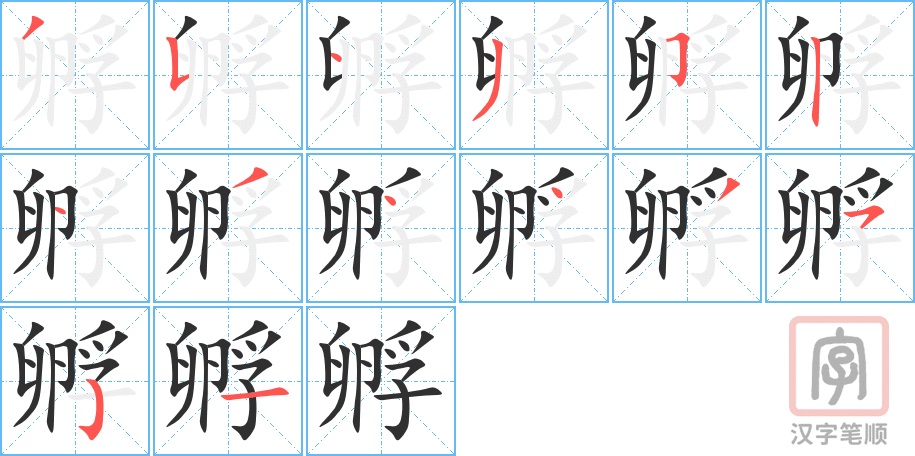 孵的笔顺分步演示（一笔一画写字）