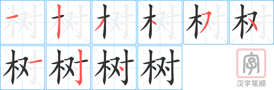 树的笔顺分步演示（一笔一画写字）