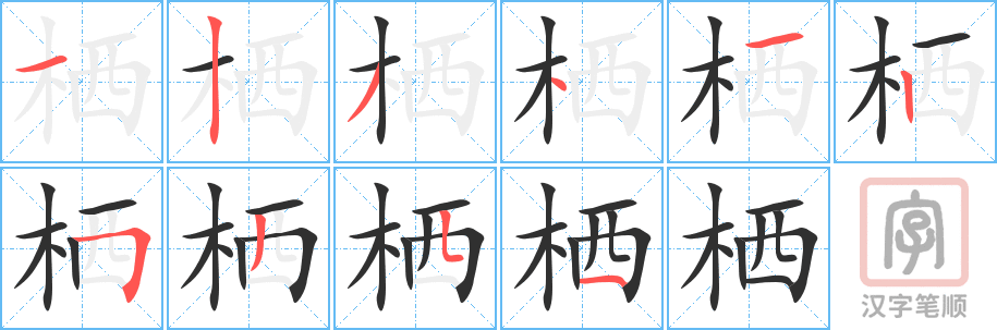 栖的笔顺分步演示（一笔一画写字）