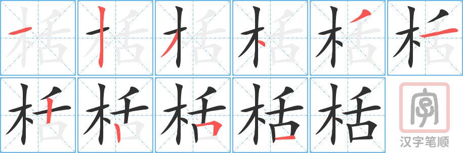 栝的笔顺分步演示（一笔一画写字）