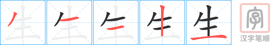 生的笔顺分步演示（一笔一画写字）