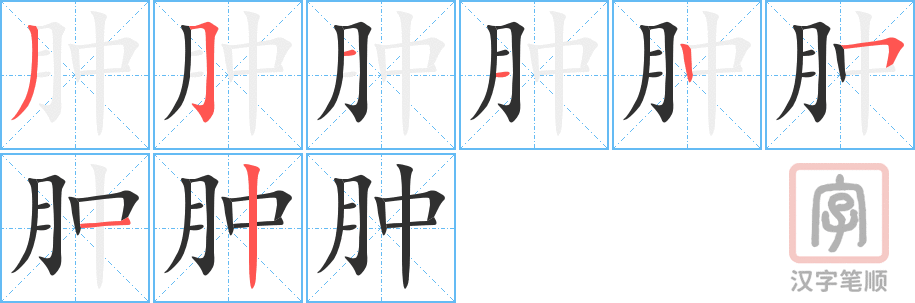 肿的笔顺分步演示（一笔一画写字）