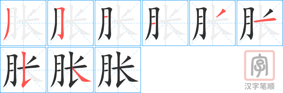 胀的笔顺分步演示（一笔一画写字）