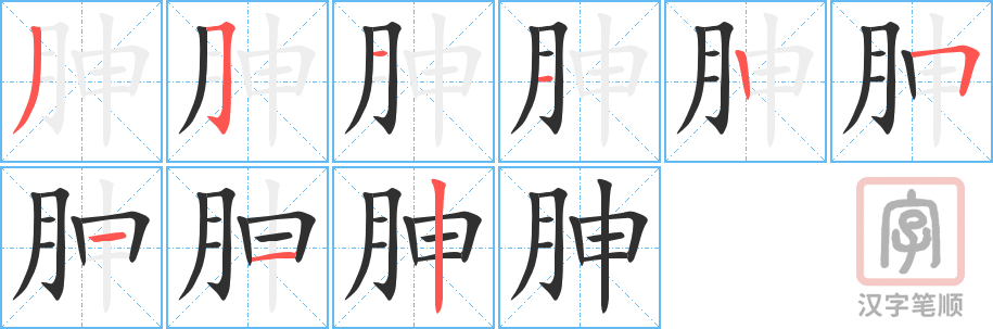胂的笔顺分步演示（一笔一画写字）