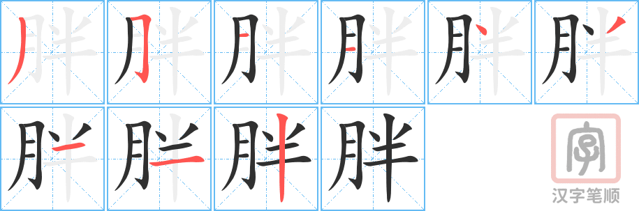 胖的笔顺分步演示（一笔一画写字）