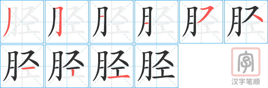 胫的笔顺分步演示（一笔一画写字）