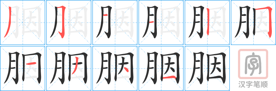 胭的笔顺分步演示（一笔一画写字）