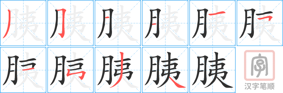 胰的笔顺分步演示（一笔一画写字）