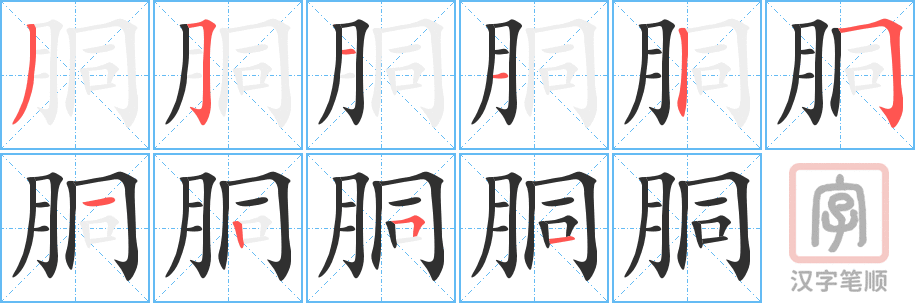 胴的笔顺分步演示（一笔一画写字）