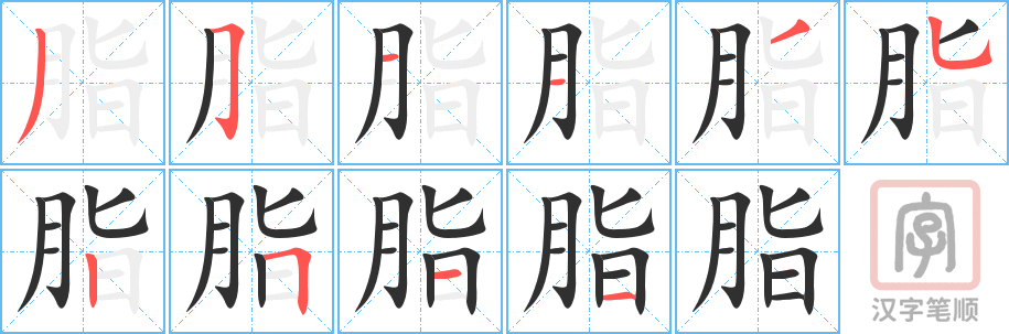 脂的笔顺分步演示（一笔一画写字）