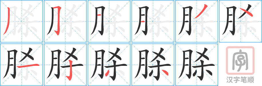 脎的笔顺分步演示（一笔一画写字）