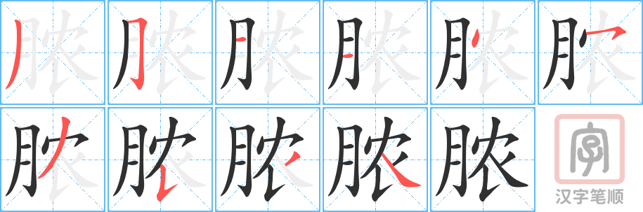 脓的笔顺分步演示（一笔一画写字）