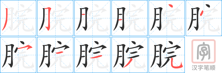 脘的笔顺分步演示（一笔一画写字）