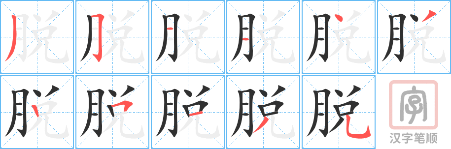 脱的笔顺分步演示（一笔一画写字）