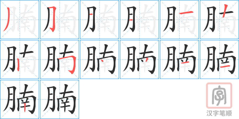 腩的笔顺分步演示（一笔一画写字）