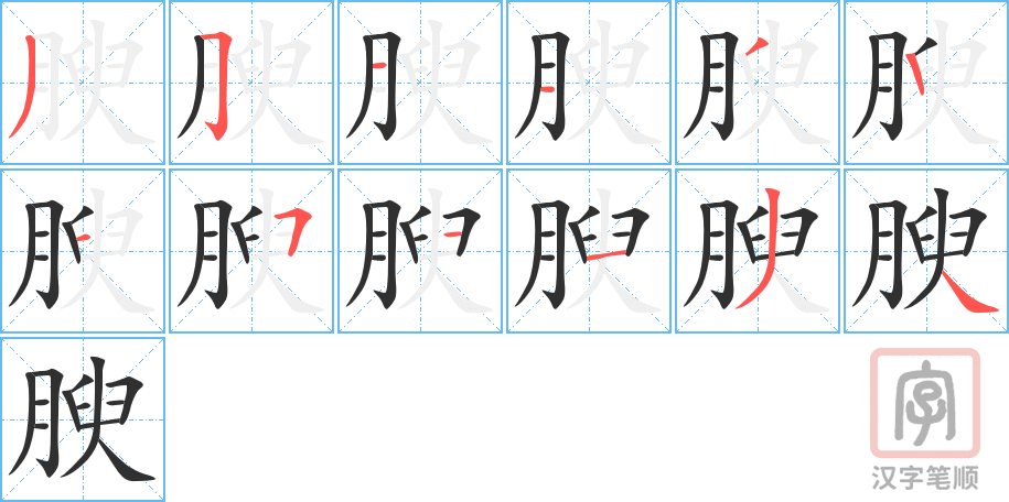 腴的笔顺分步演示（一笔一画写字）