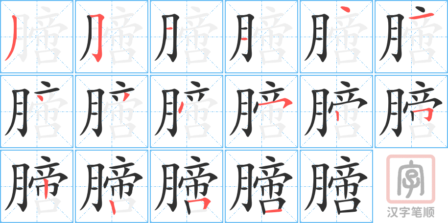 膪的笔顺分步演示（一笔一画写字）