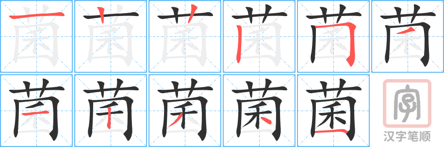 菌的笔顺分步演示（一笔一画写字）