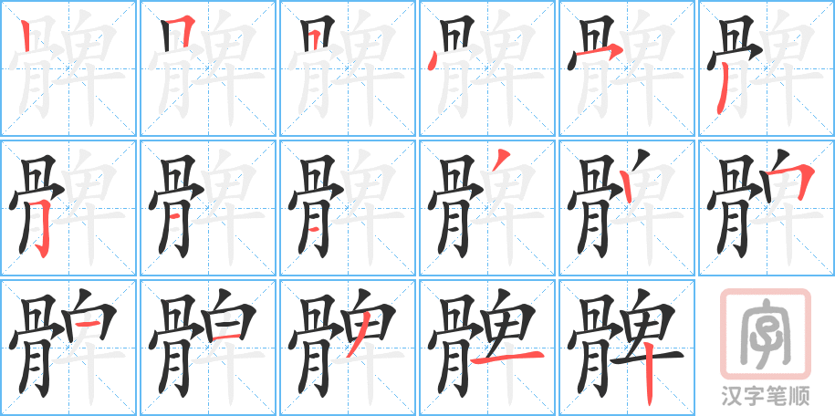 髀的笔顺分步演示（一笔一画写字）