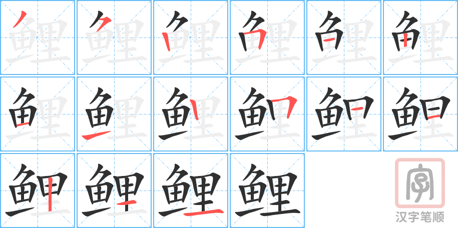 鲤的笔顺分步演示（一笔一画写字）