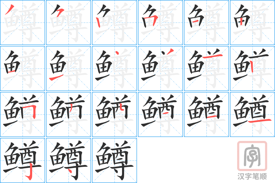 鳟的笔顺分步演示（一笔一画写字）