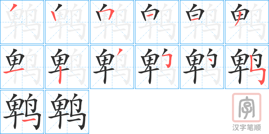 鹎的笔顺分步演示（一笔一画写字）