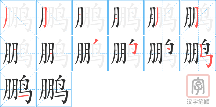 鹏的笔顺分步演示（一笔一画写字）