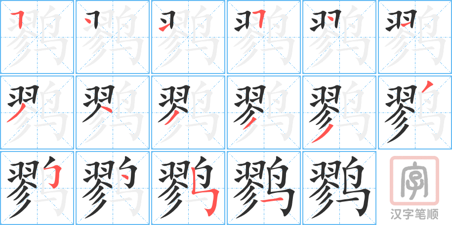 鹨的笔顺分步演示（一笔一画写字）