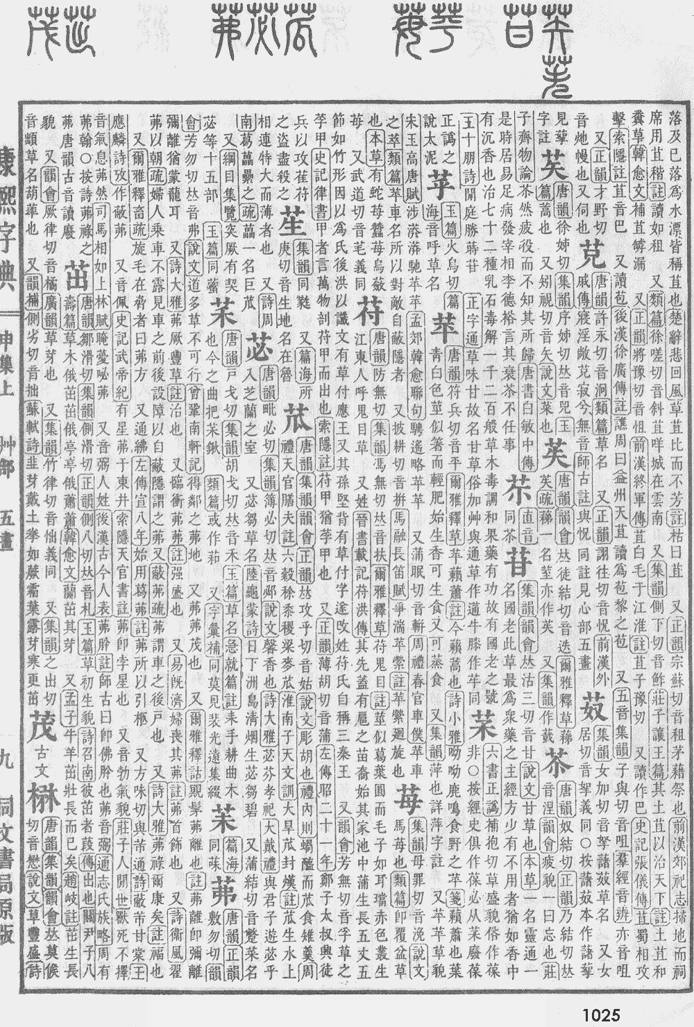 康熙字典第1025页图片